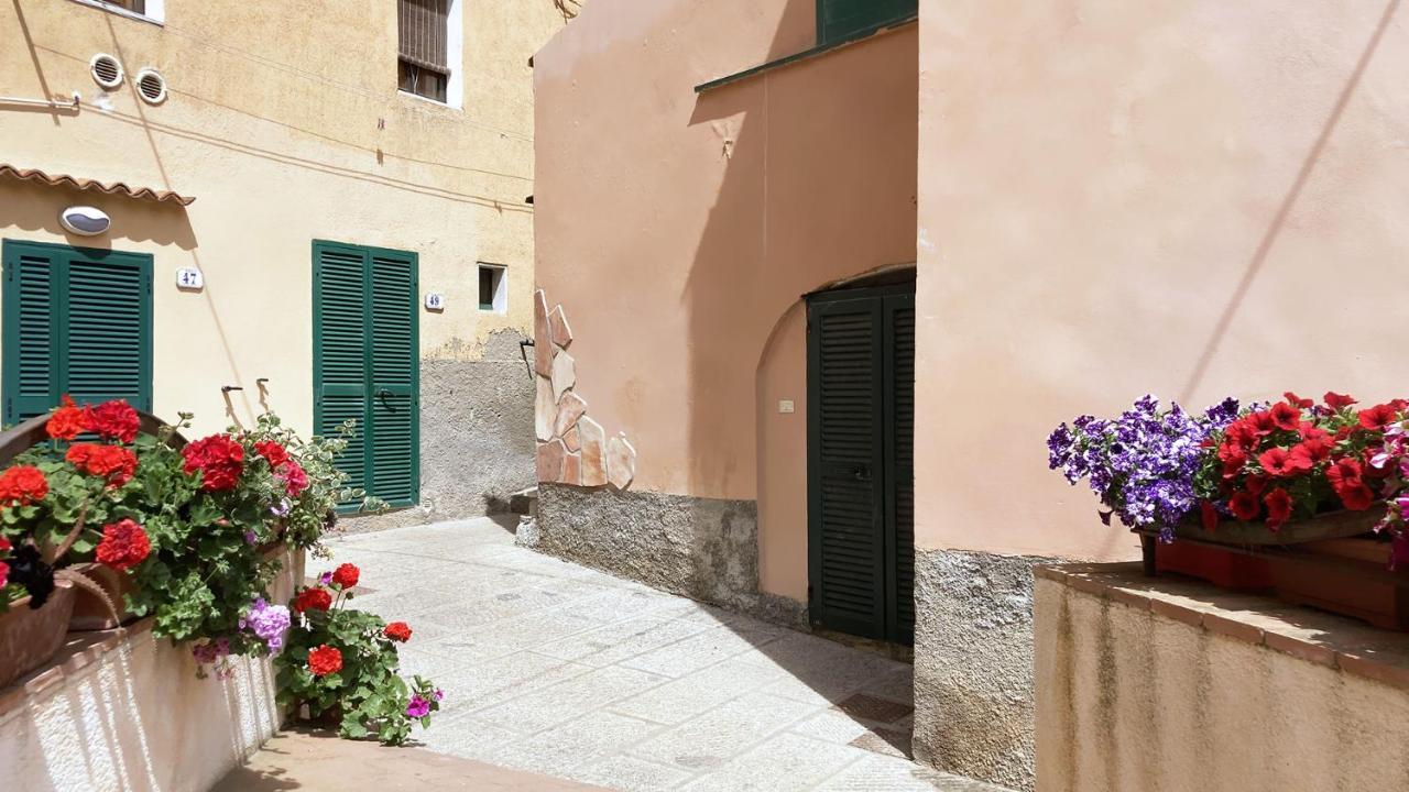 La Casa Di Rosa - Argonautivacanze Rio Marina Luaran gambar